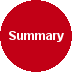 MIPET Summary  Button