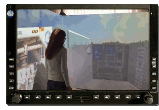 Virtual Cave for Immersive Interactive Interoperable Experienes on Skids and Industrial Plants