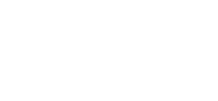 sim4future