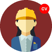 Strategic Engineer