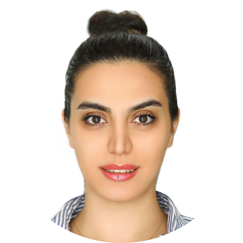 Strategic Engineer
