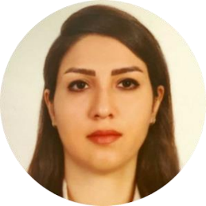 Strategic Engineer