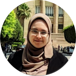 Strategic Engineer