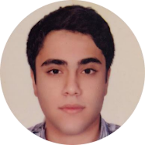Strategic Engineer