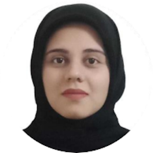 Strategic Engineer