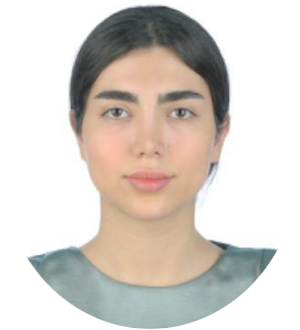 Strategic Engineer