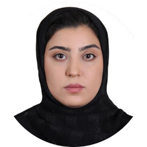 Strategic Engineer