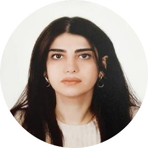 Strategic Engineer