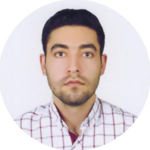 Strategic Engineer